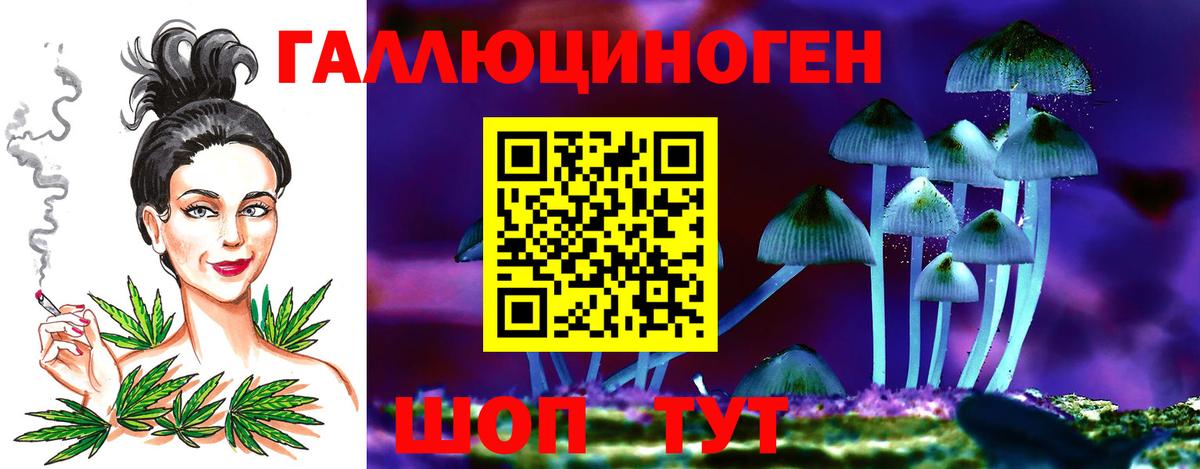цены   Вход с VPN  Чита  Псилоцибиновые грибы мухоморы 